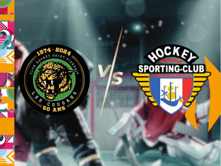 Matchs de Hockey