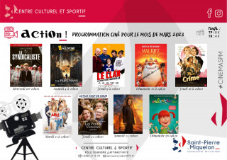 Films Tout Public