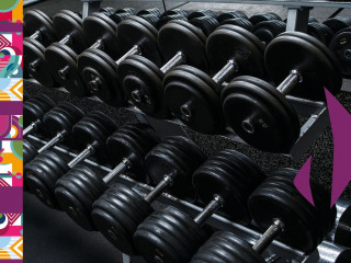 Musculation