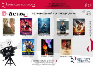Films Tout Public