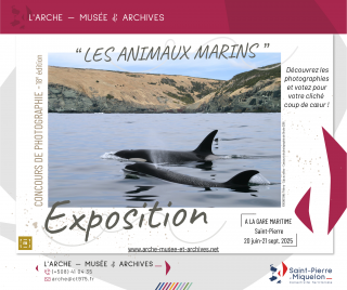 visuel-2025-arche-concours-photo-les-animaux-marins-cheznoo-1257