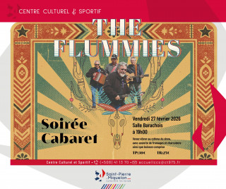 visuel-soir-e-cabaret-the-flummies-1439