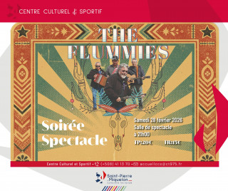 visuel-soir-e-spectacle-the-flummies-1440 visuel-soir-e-spectacle-the-flummies-1440