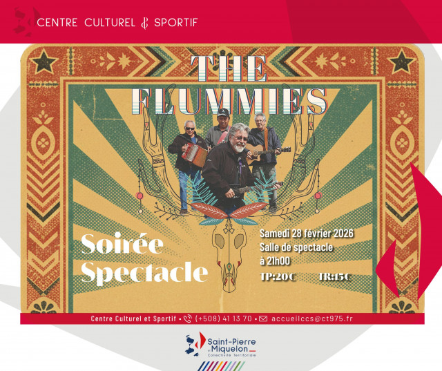 visuel-soir-e-spectacle-the-flummies-1440 visuel-soir-e-spectacle-the-flummies-1440