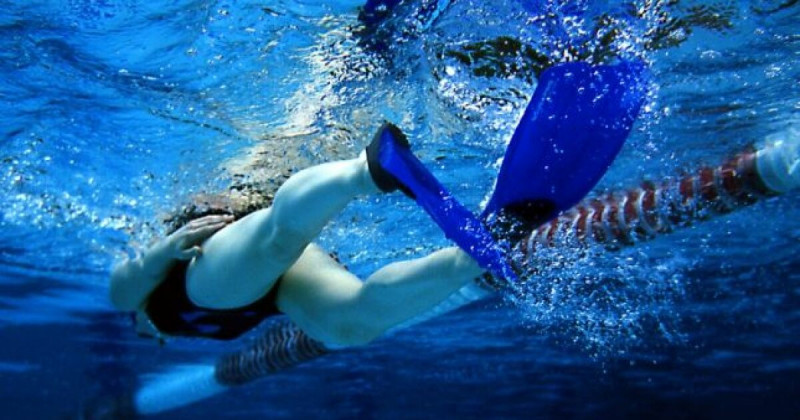 palmes-1032 palmes-1032