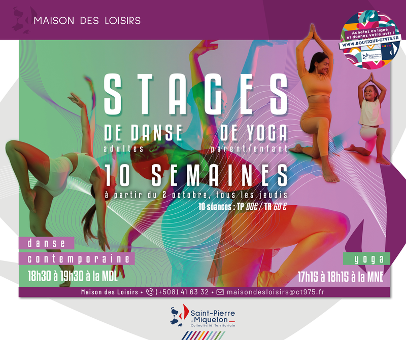 visuel-stage-de-danse-mdl-1295